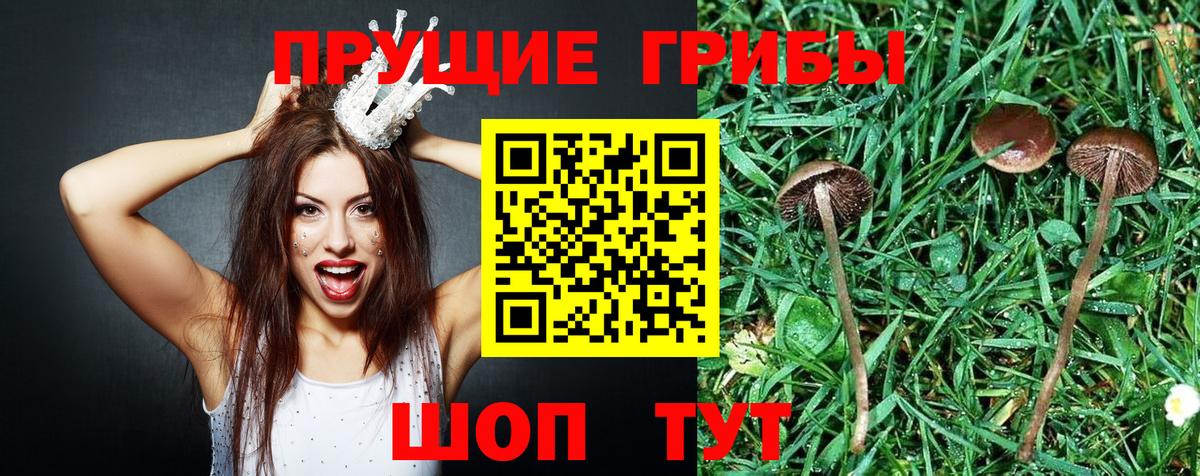 Галлюциногенные грибы ЛСД Соликамск