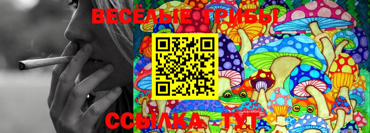 Соликамск  Галлюциногенные грибы GOLDEN TEACHER  Вход с VPN 